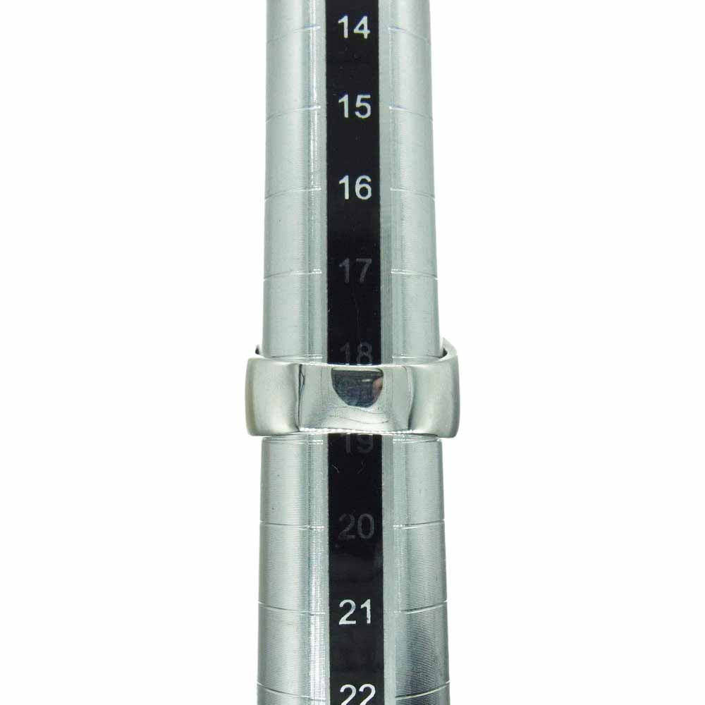 CRAZY PIG クレイジーピッグ 納品書付属 DEMON SKULL RING デーモン スカル リング シルバー系 18.5号【美品】【中古】