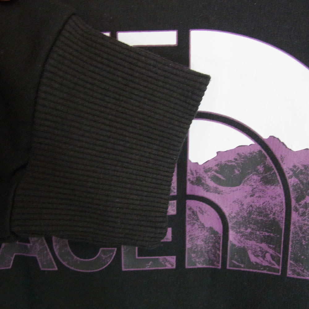 THE NORTH FACE ノースフェイス NF0A5IWP LOGO PLAY HOODIE プルオーバー フーディー パーカー ブラック系 S【極上美品】【中古】