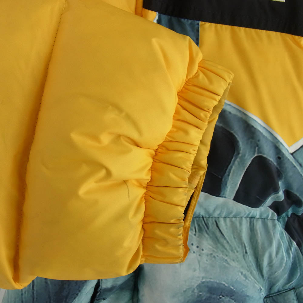 Supreme シュプリーム 19AW NF0A47EW × THE NORTH FACE ノースフェイス Statue of Liberty Baltoro Jacket バルトロ ジャケット イエロー系 L【中古】