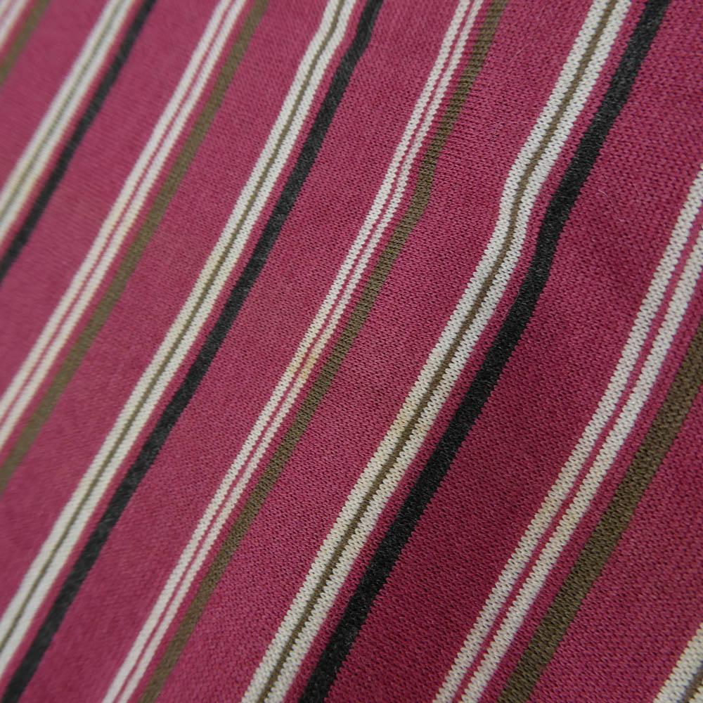 DIOR HOMME ディオールオム 05SS 5EH3090148 エディ期 ボーダー コットン ストール ピンク系【中古】