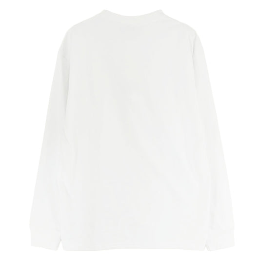 NIKE ナイキ DR7754-122 ACG LS LBR TEE LUNGS SUMMIT ロングスリーブ ロゴ刺繍 クルーネック 長袖 Tシャツ ホワイト系 S【極上美品】【中古】