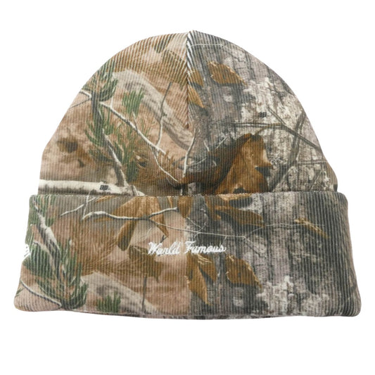 Supreme シュプリーム 25AW Box Logo Beanie Realtree AP Camo ボックスロゴ ビーニー ニット帽 帽子 リアルツリー AP カモ マルチカラー系【極上美品】【中古】