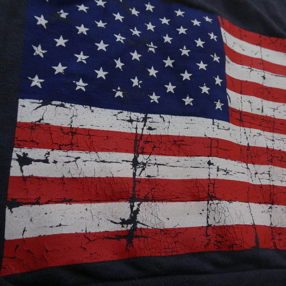 CHROME HEARTS クロムハーツ(原本無) 星条旗バックプリント ホースシュー 胸ロゴ ダガージップ フルジップ パーカー フーディー グレー系 XS【中古】