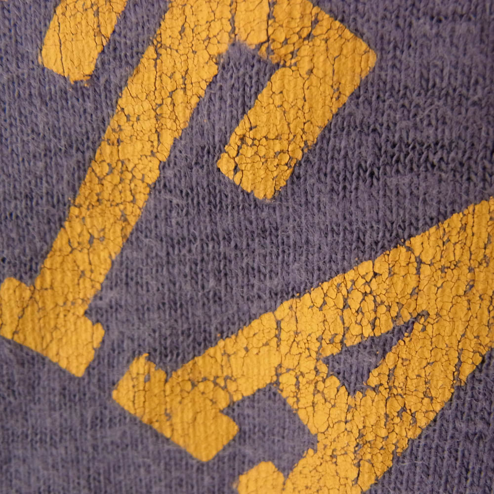 WAREHOUSE ウエアハウス 4601 SAN JOSE STATE COLLEGE サンノゼ ステート カレッジ ロゴ Tシャツ 半袖カットソー ネイビー系 L【中古】