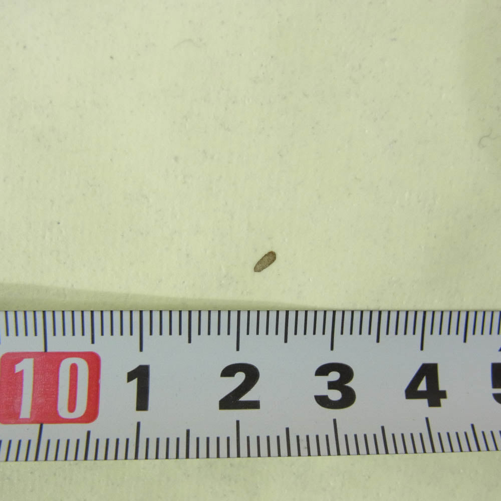 SAINT MICHAEL セントマイケル 26SS SM-MK8-0000-C30 BH_LS T-SHIRT/BONE 長袖 ロングスリーブ Tシャツ ロンT カットソー チャコール系 L【美品】【中古】