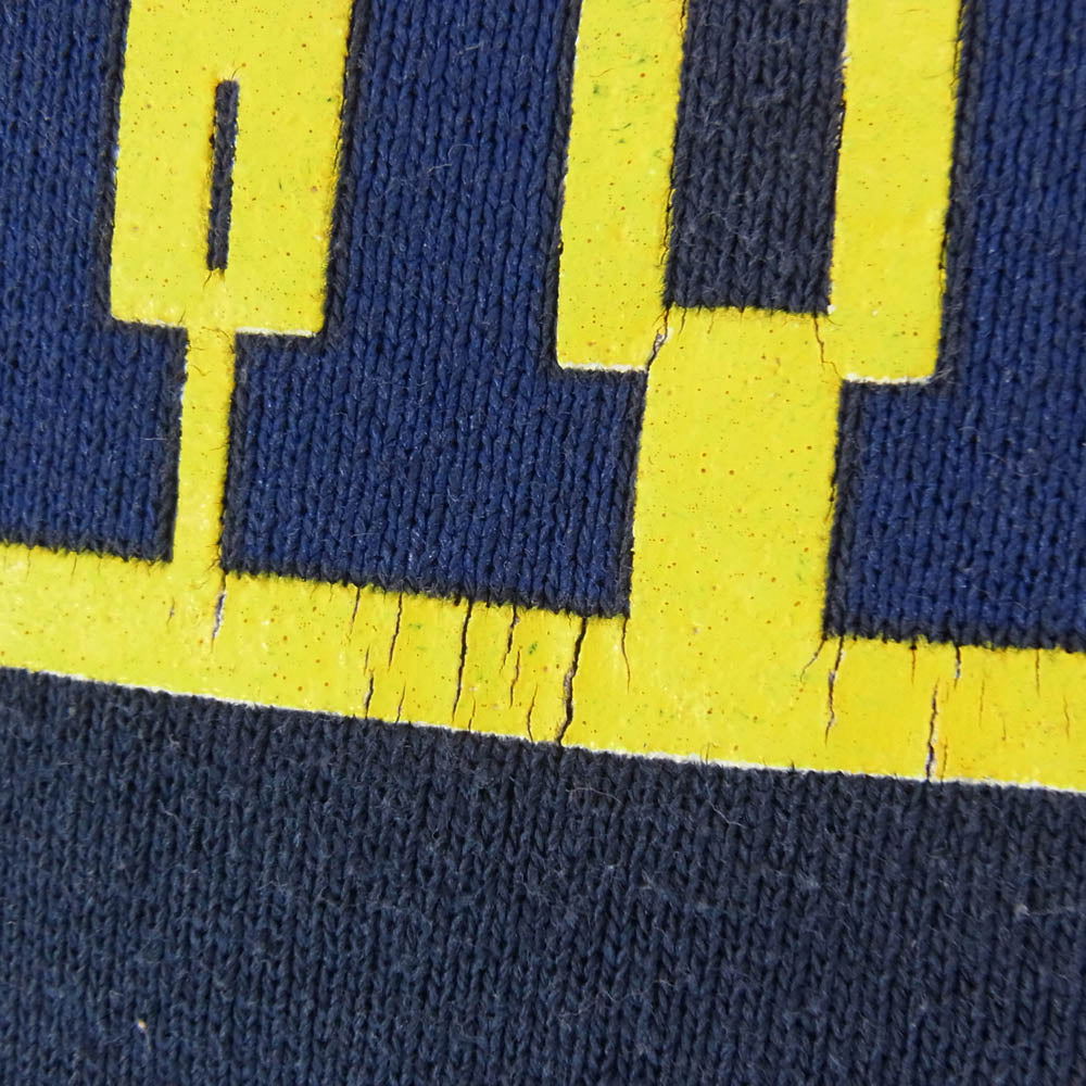ヴィンテージ 90s USA製 SALEM sportswear MICHIGAN プリント スウェット ネイビー系 14 16【中古】