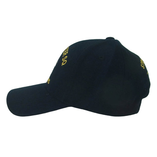 ミリタリー 391st Fighter Squadron CAP アメリカ空軍 第366戦闘航空団 第391戦闘飛行隊 キャップ 帽子 ブラック系 ONE SIZE【美品】【中古】