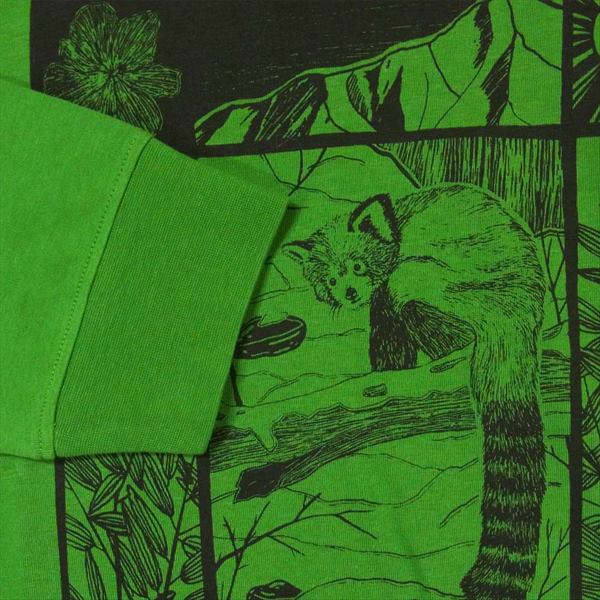 THE NORTH FACE ノースフェイス NT02032R L/S HIMALAYAN SOURCE TEE Tシャツ グリーン系 USA S【新古品】【未使用】【中古】