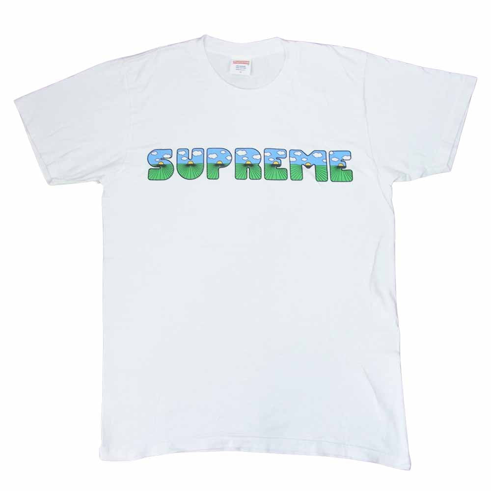 Supreme シュプリーム 16SS THIS IS THE SHIT TEE ロゴ プリント 半袖 Tシャツ  ホワイト系 M【中古】