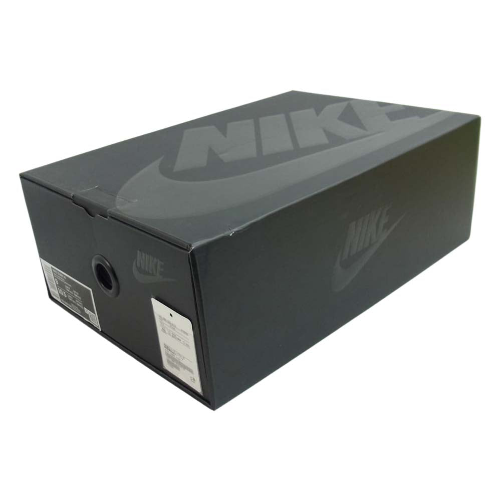 NIKE ナイキ DD1398-300 国内正規品 黒タグ付属 DD1398-300 DUNK HI ダンクハイ オールスター ゲーム ハイカット スニーカー ライトグリーン系 ブラック系 27cm【新古品】【未使用】【中古】