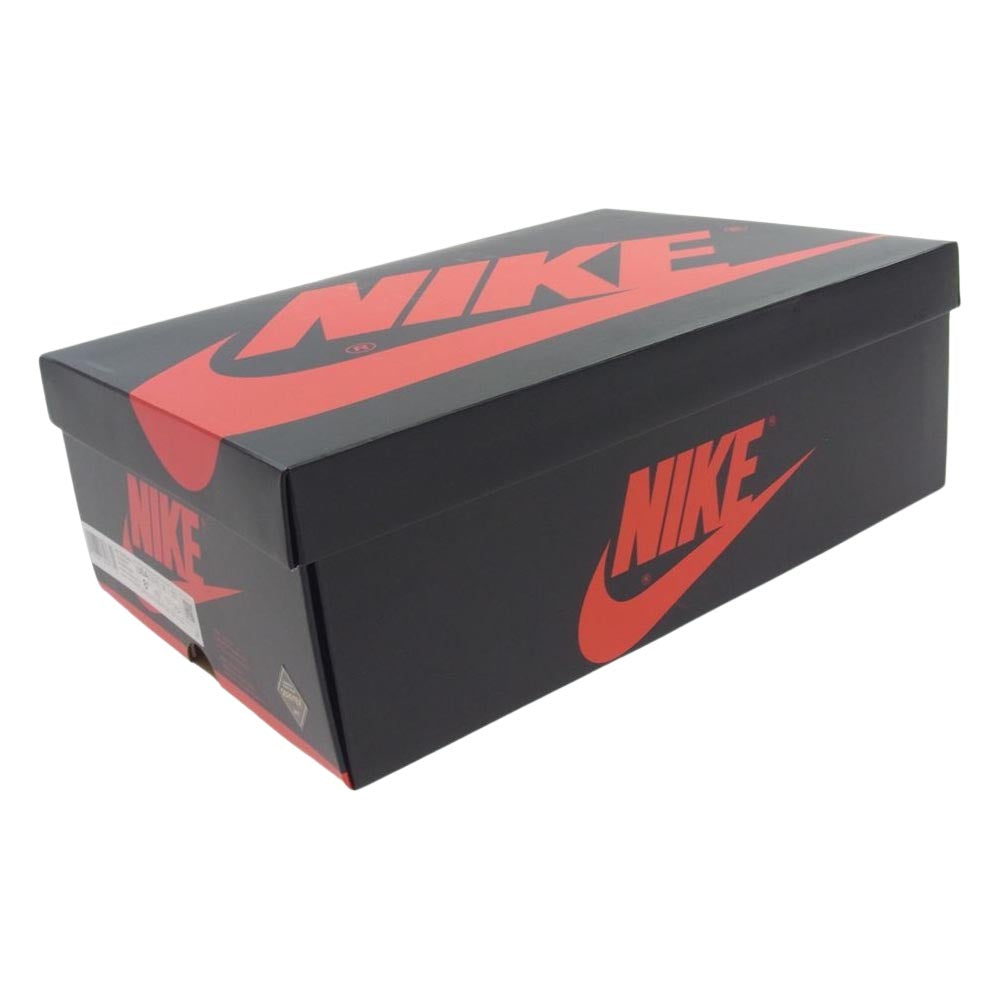 NIKE ナイキ DB2889-500 AIR JORDAN 1 ELEMENT GORE-TEX BERRY エアジョーダン 1 エレメント ベリー パープル系 26.5cm【極上美品】【中古】