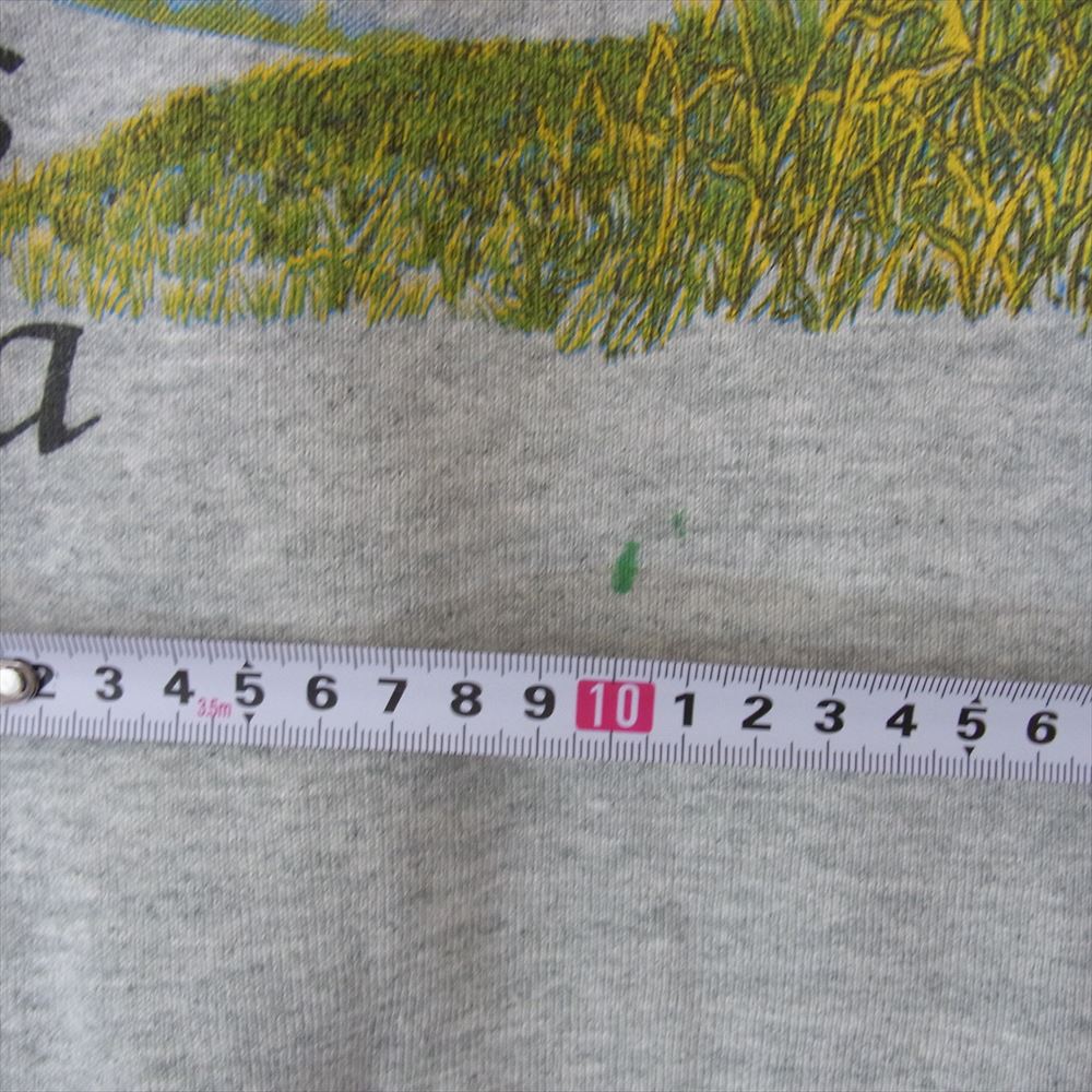 フルーツオブザルーム ヴィンテージ 80s 90s プリントスウェット グレー系 XL【中古】