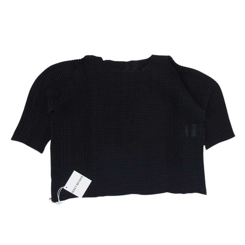 ISSEY MIYAKE イッセイミヤケ 23SS IM31FJ61215 STRIPE LIKE PLEATS ストライプ プリーツ Tシャツ カットソー トップス ブラック系 2【新古品】【未使用】【中古】