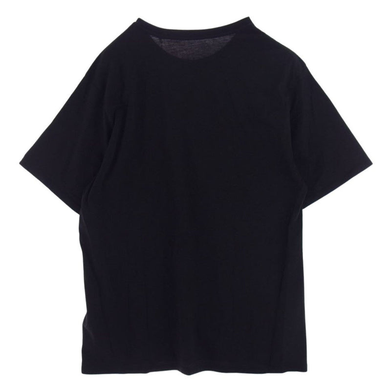 patagonia パタゴニア 21AW 37400 Alpine Icon Regenerative Organic Cotton T-Shirt アルパインアイコン リジェネラティブ オーガニックコットン Tシャツ ブラック系 M【極上美品】【中古】