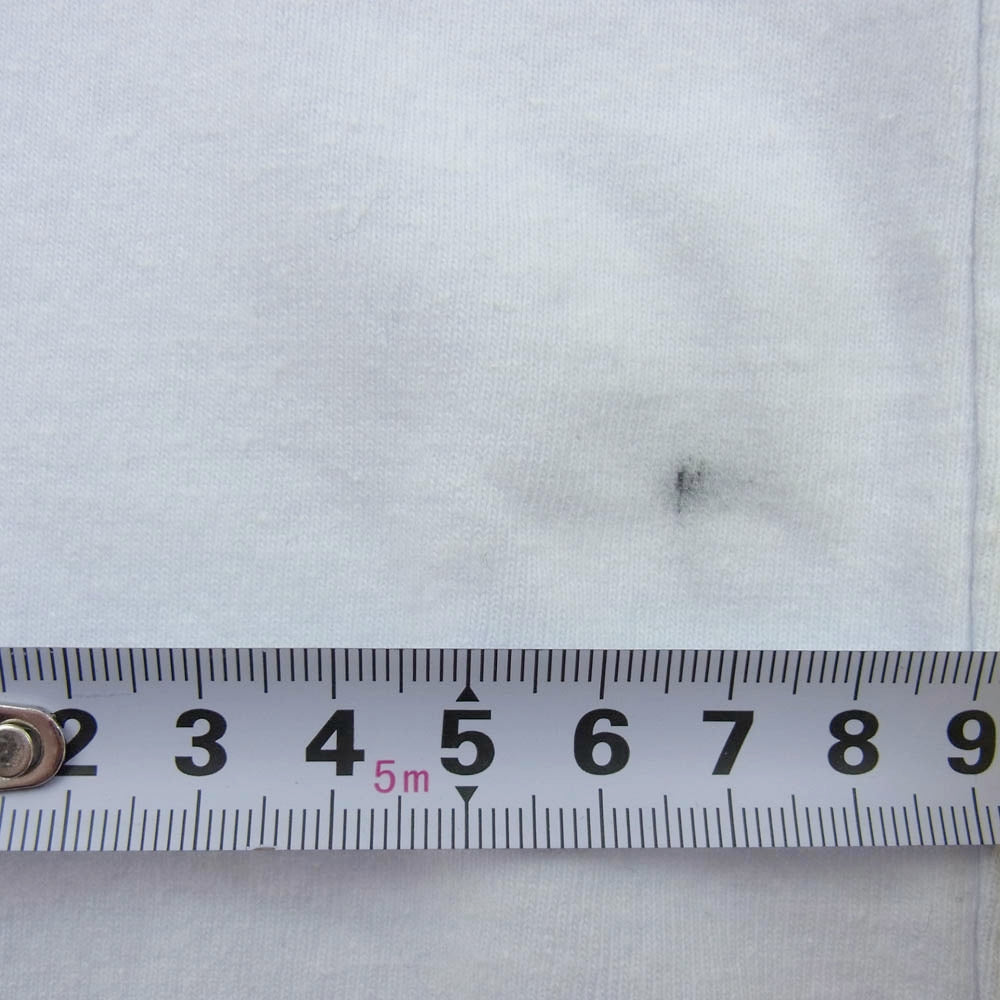 patagonia パタゴニア 37404 フライ ザ フラッグ レスポンシビリティー 半袖 Tシャツ メキシコ製 ライトブルー系 L【中古】