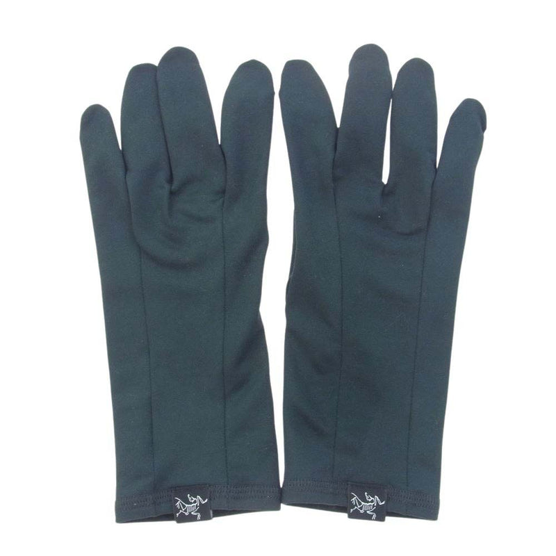 ARC'TERYX アークテリクス Rho Glove ロー グローブ 手袋 ブラック系 UNISEX 21.8-22.6cm【中古】