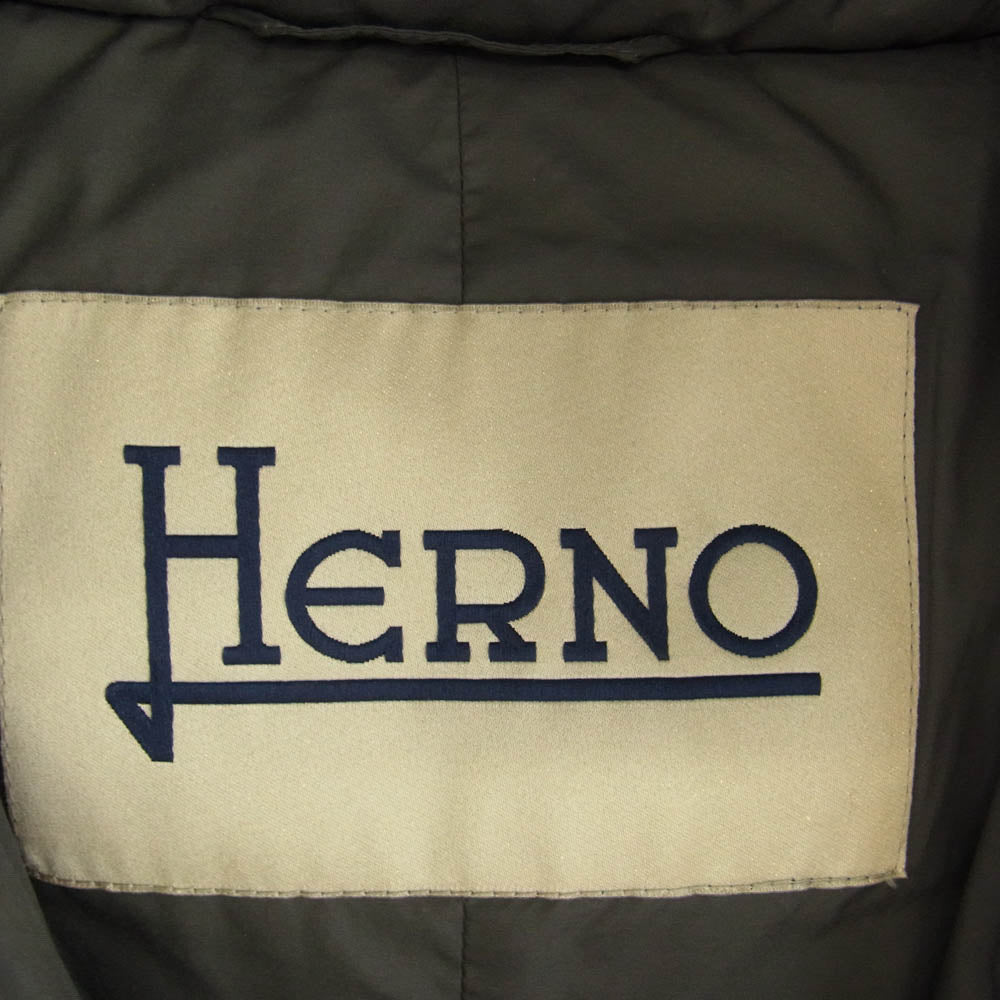 Herno ヘルノ PI0709D-12182-9460 着脱可能ファーフード付き ポーラテック ダウンコート グレー系 40【中古】