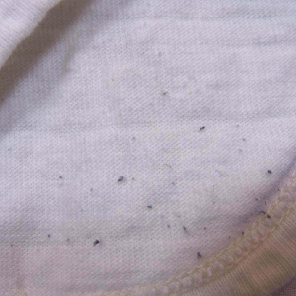 WAREHOUSE ウエアハウス プリント 7分袖 ベースボール Tシャツ ネイビー系 L【中古】