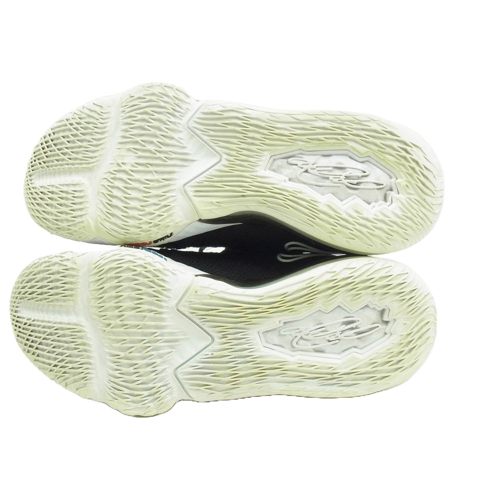 NIKE ナイキ CD5007-002 Lebron 17 Low レブロン 17 ロー ブラック系 26.5cm【中古】