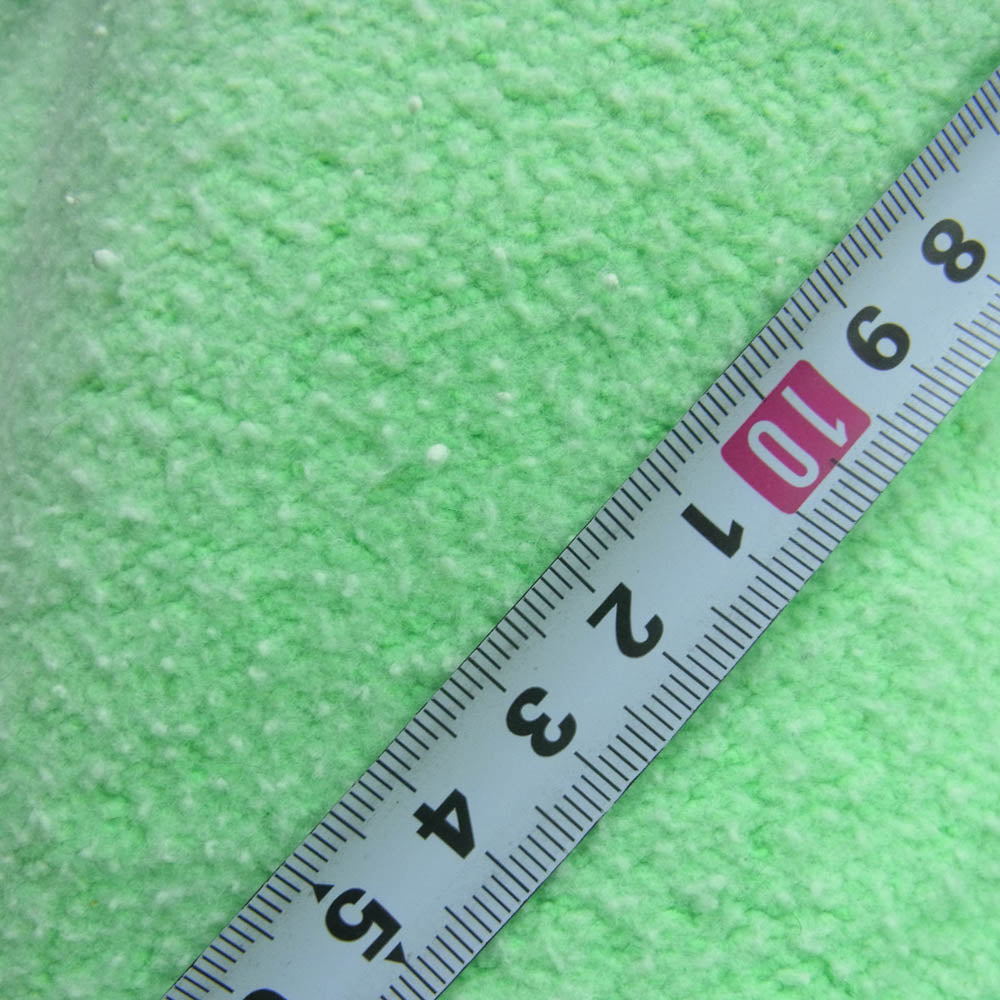 Champion チャンピオン 青タグ ホンジュラス製 reverse weave リバースウィーブ スウェット パーカー ライトグリーン系 M【中古】