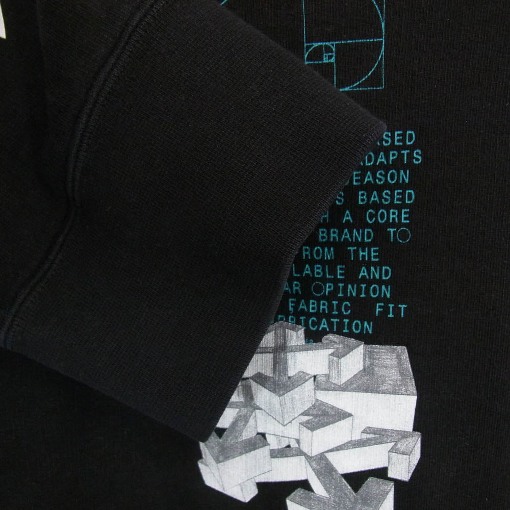 OFF-WHITE オフホワイト 20SS OMBA037R20E30005 DRIPPING ARROWS ドリッピング アロー クロスド アロー クルーネック スウェット ブラック系 L【中古】