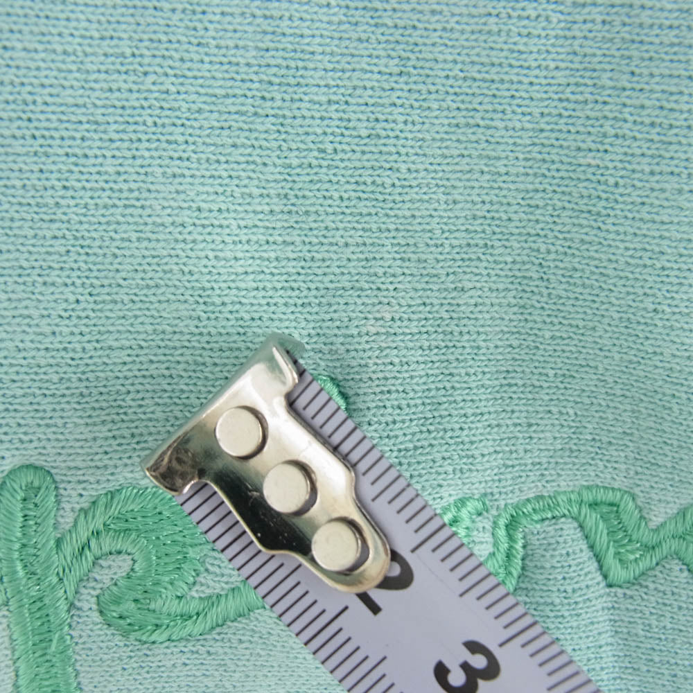 Champion チャンピオン 90s～00s 刺繍タグ REVERSE WEAVE リバースウィーブ ロゴ刺繍 スウェット トレーナー ミントグリーン系 M【中古】