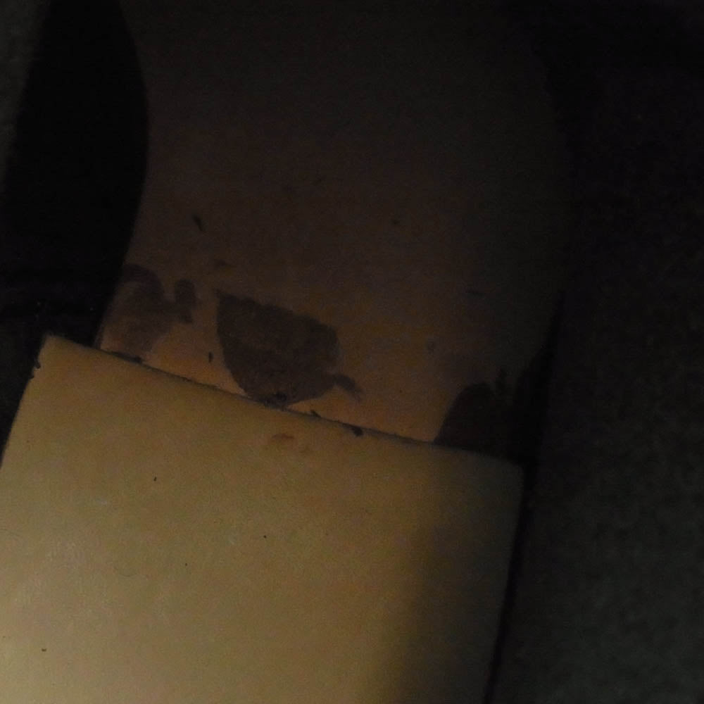 RED WING レッドウィング 2268 ENGINEER BOOT エンジニアブーツ レザーブーツ 2009年製 ブラック系 5D【美品】【中古】