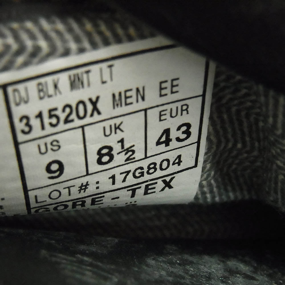 Danner ダナー 31520X MOUNTAIN LIGHT GORE-TEX マウンテンライト ゴアテックス レザーブーツ ブラック系 43【中古】