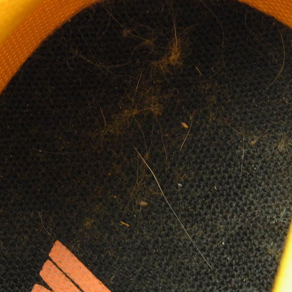 NIKE ナイキ DD1391-004 Dunk Low Championship Goldenrod ダンク ロー イエロー系 ブラック系 26.5cm【中古】