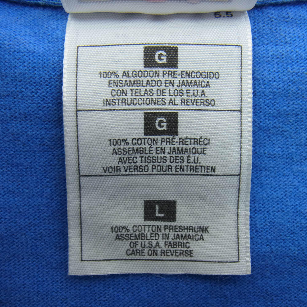 ヴィンテージ FRUIT OF THE LOOM HEAVY 2枚タグ 90s～00s OUTRAGE アウトレイジ スター プリント Tシャツ ブルー系 L【中古】