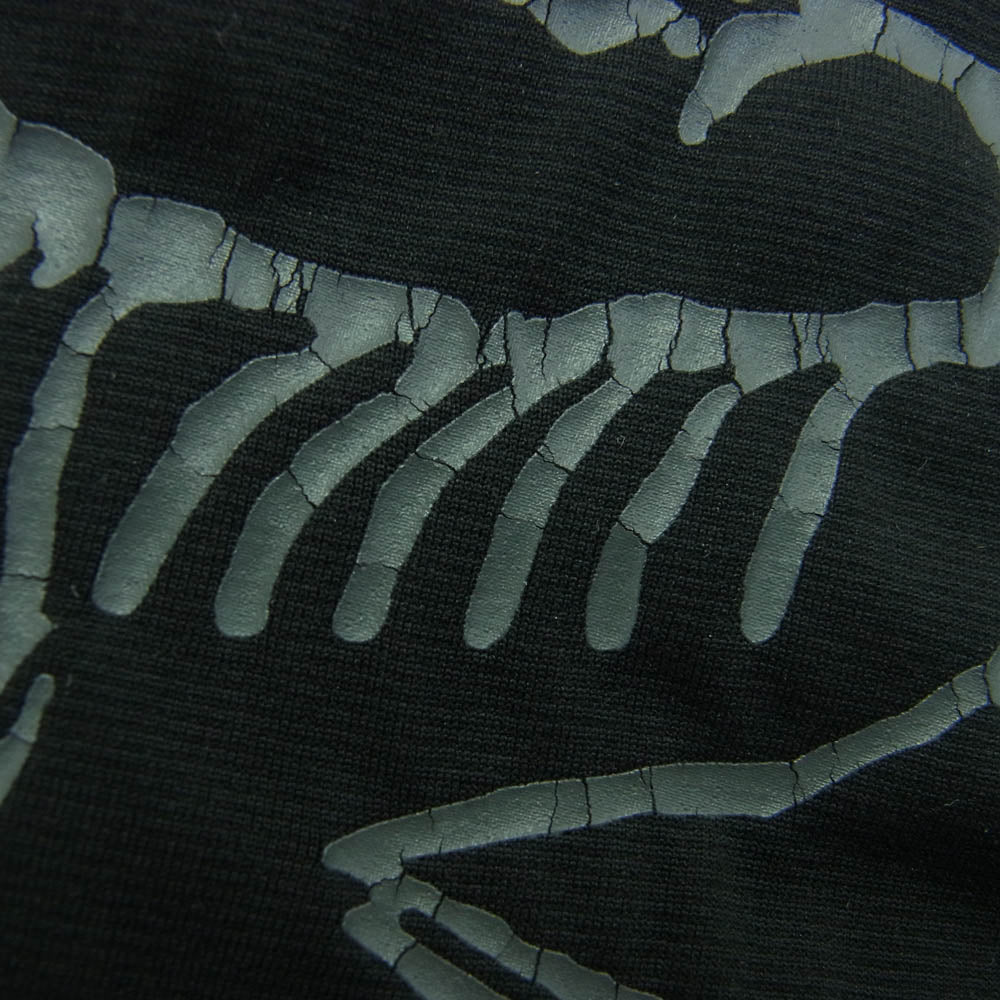 ARC'TERYX アークテリクス 18920 Phasic Evolution Crew SS フェイジック エボリューション クルーネック ロゴ Tシャツ ブラック系 M【中古】