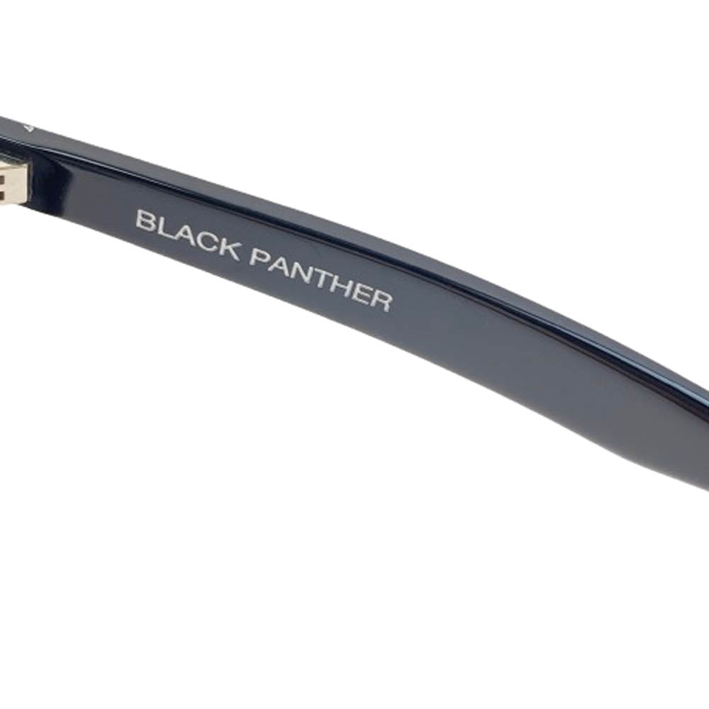 ISAMUKATAYAMA BACKLASH イサムカタヤマバックラッシュ × FIXER BLACKPANTHER フィクサー ブラックパンサー サングラス アイウェア ブラック系【中古】