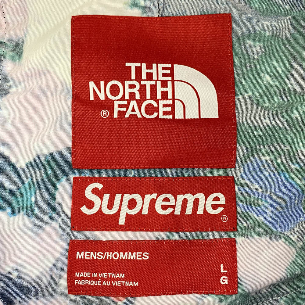 Supreme シュプリーム 22SS NB022071 × The North Face Trekking Packable Belted Short Flowers ノースフェイス トレッキング パッカブル ベルテッド ショーツ マルチカラー系 L【中古】