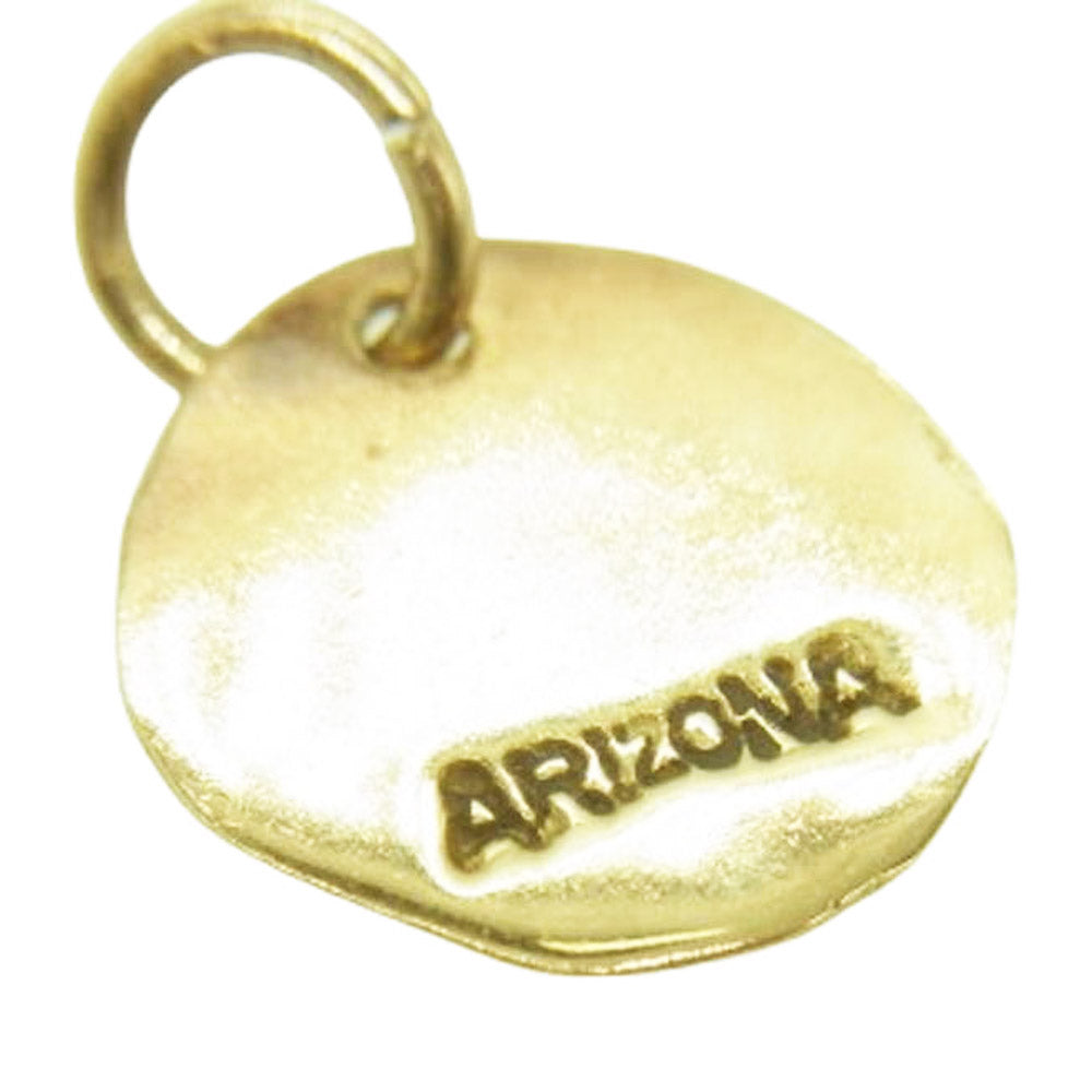 ARIZONA FREEDOM アリゾナフリーダム G-11b 全金 太陽神メタル K18 ペンダント トップ ゴールド系【中古】