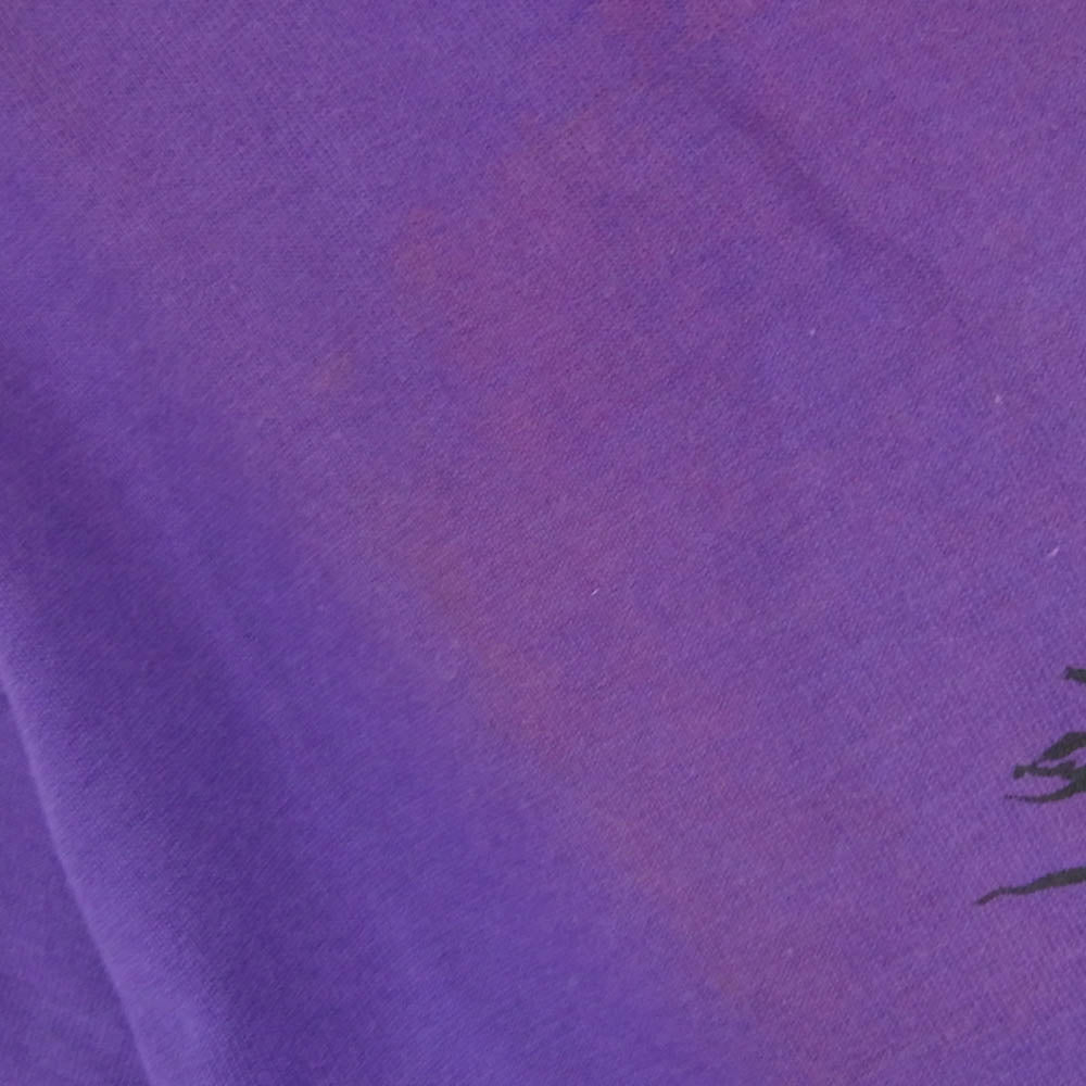 HEX ANTISTYLE ヘックスアンチスタイル フロント プリント ロゴ 半袖 Tシャツ パープル系 L【美品】【中古】