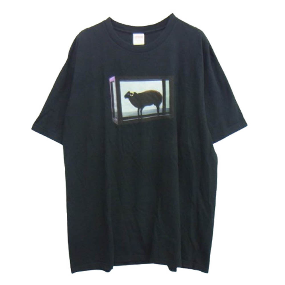 Supreme シュプリーム 25SS Damien Hirst Tee ダミアン・ハースト プリント Tシャツ 半袖カットソー ブラック系 XL【中古】