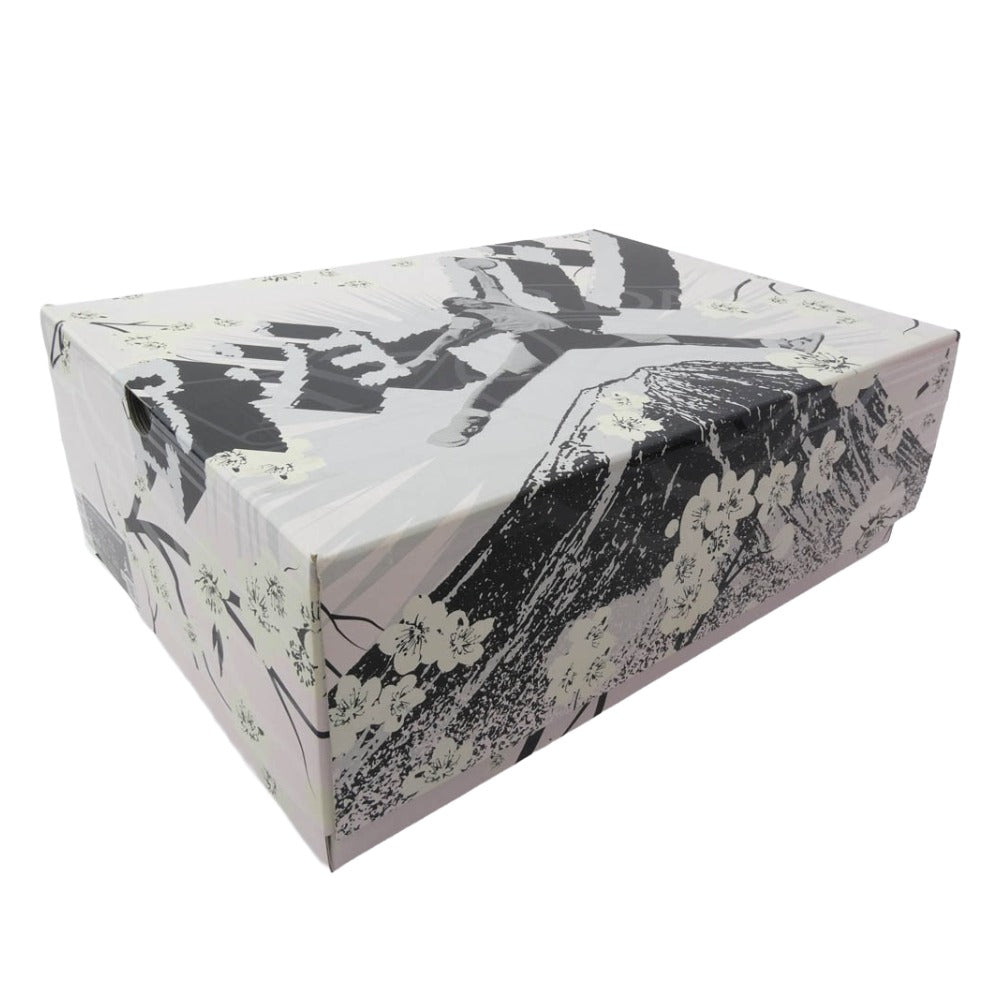 NIKE ナイキ FQ3228-100 AIR JORDAN 2 RETRO LOW CH BLSM 