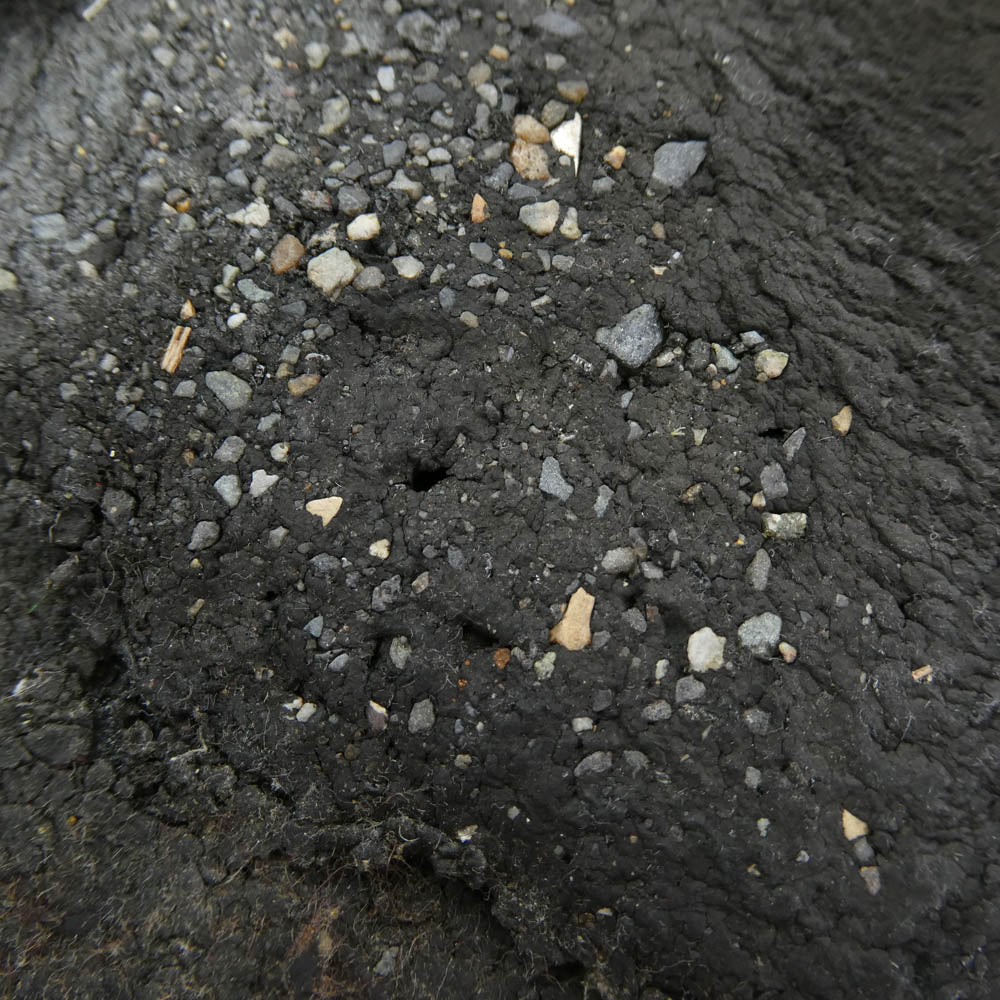 ALDEN オールデン 924C Ｖチップ ノルウィージャンフロント ブルーチャー オックスフォード シューズ ブラック系 8E【中古】