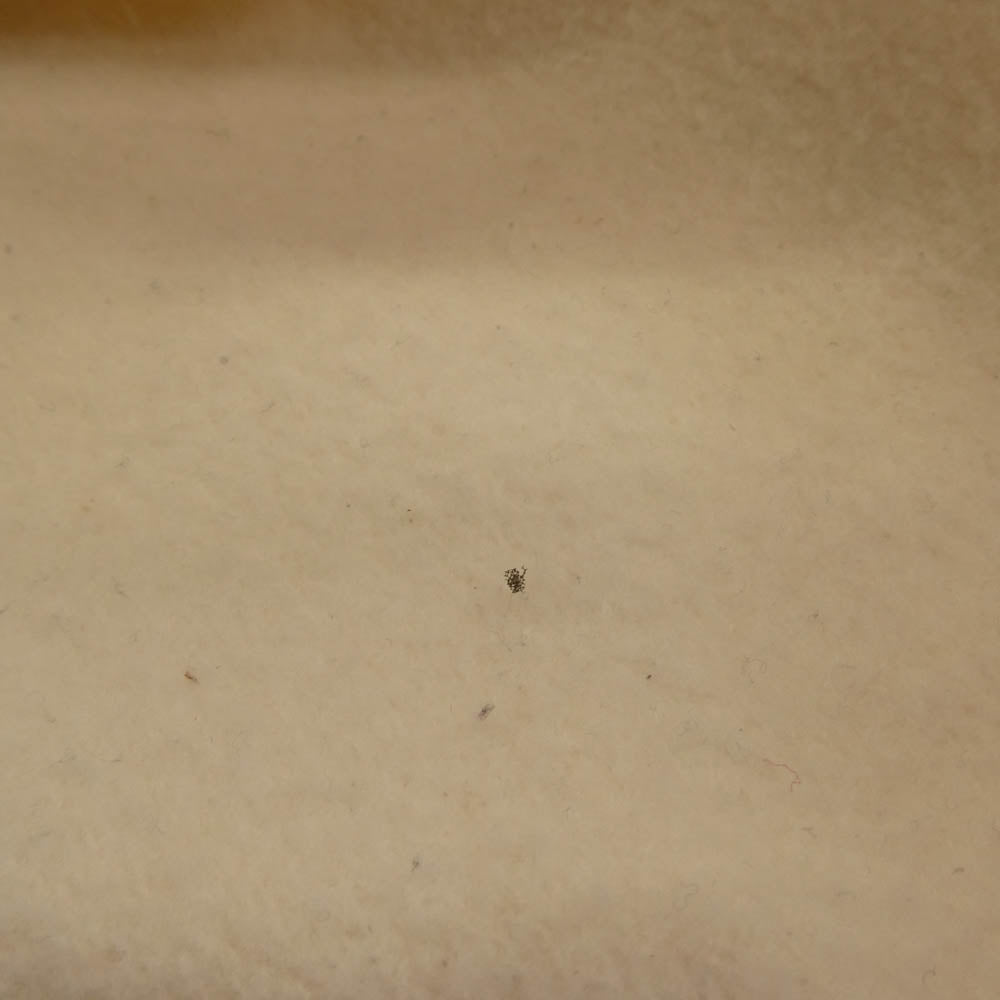 Supreme シュプリーム 22AW 渋谷店限定 Shop Small Box Crewneck スモールボックスロゴ クルーネック スウェット トレーナー ホワイト系【中古】