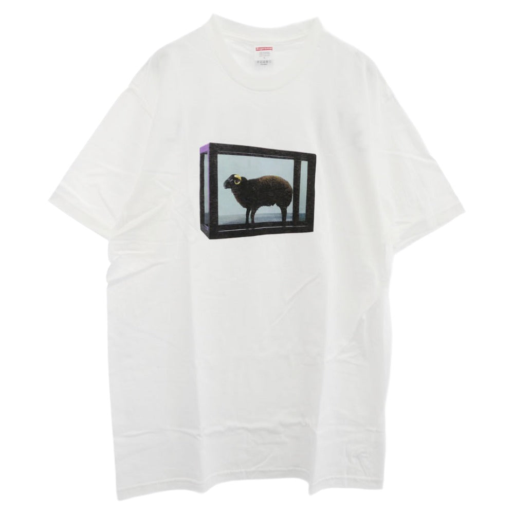 Supreme シュプリーム 25SS Damien Hirst Tee ダミアンハースト フロントプリント Tシャツ 半袖カットソー ホワイト系 L【新古品】【未使用】【中古】