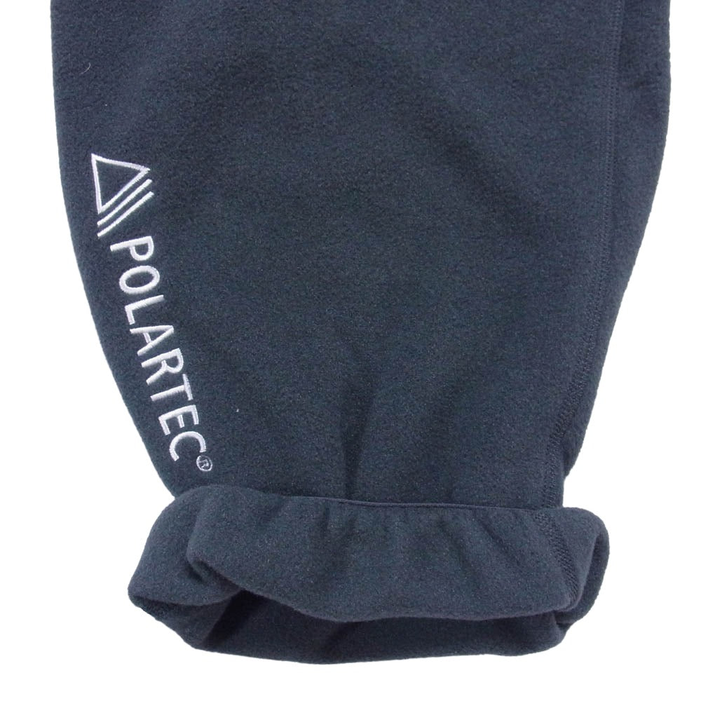 NIKE ナイキ CV0659-060 ACG POLAR FLEECE PANTS ポーラテック フリース パンツ グレー系 M【美品】【中古】