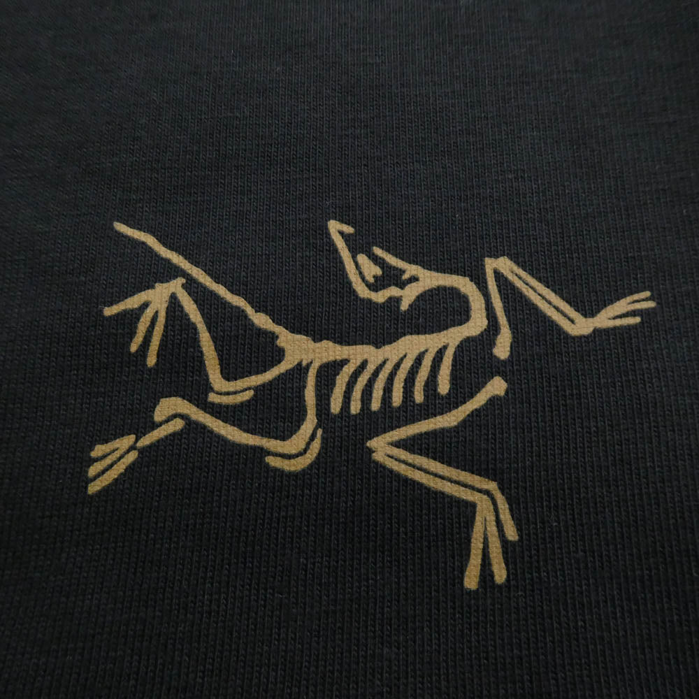 ARC'TERYX アークテリクス X000009714 Kragg Cotton LS クラッグ コットン ロングスリーブ 長袖 Tシャツ ブラック系 L【美品】【中古】