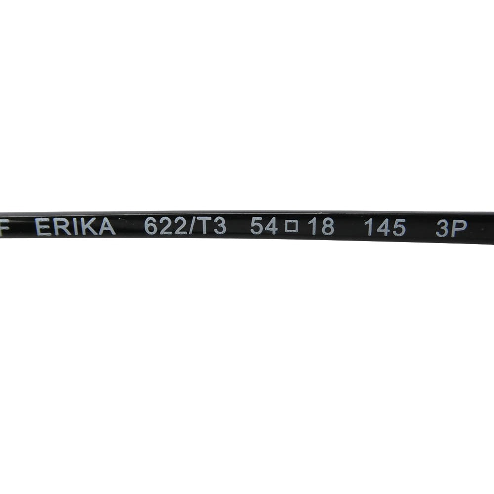 Ray-Ban レイバン RB4171F ERIKA エリカ サングラス アイウェア 眼鏡 ブラック系 54□18 145【中古】