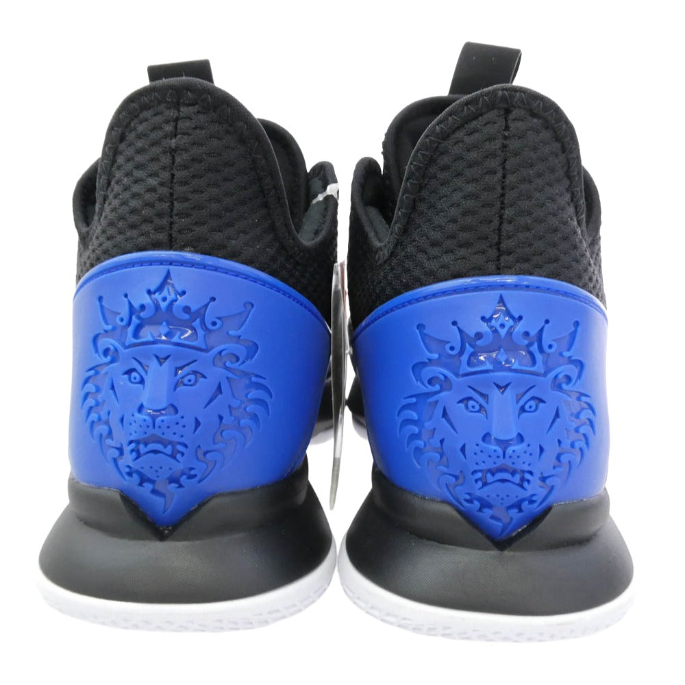 NIKE ナイキ CD0188-007 LEBRON レブロン ウィットネス IV EP バスケットボールシューズ スニーカー ブラック系 ホワイト系 ブルー系 28cm【美品】【中古】