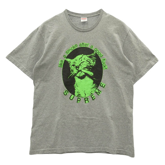 Supreme シュプリーム 23SS SMOKE TEE スモーク グラフィックプリント Tシャツ 半袖カットソー グレー系 M【中古】