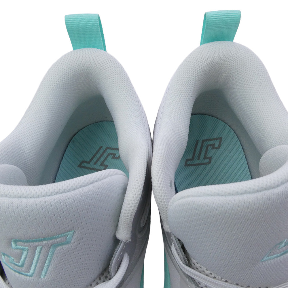 NIKE AIR JORDAN ナイキ ジョーダン 25SS FZ6601-005 Tatum 3 Gingham テイタム3 ギンガム スニーカー ホワイト系 ライトグリーン系 29cm【中古】
