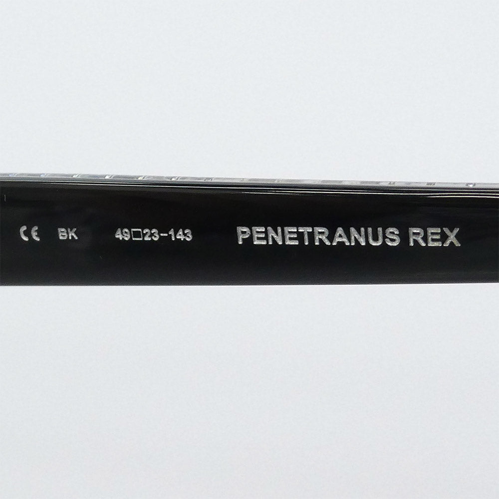 CHROME HEARTS クロムハーツ（原本無） PENETRANUS REX BSフレア