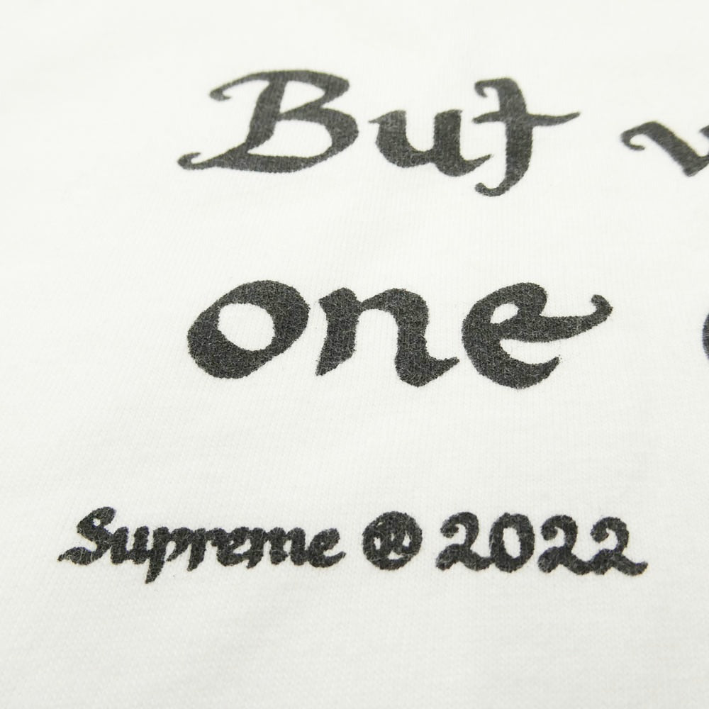 Supreme シュプリーム 22SS Person tee パーソン フロント バック プリント Tシャツ 半袖 カットソー ホワイト系 L【中古】