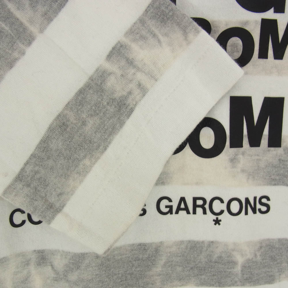 COMME des GARCONS HOMME PLUS コムデギャルソンオムプリュス PS-T108 MY ENERGY COMES FROM FREEDOM プリント ボーダー 長袖 ロングスリーブ Tシャツ カットソー ロンT グレー系 M【中古】