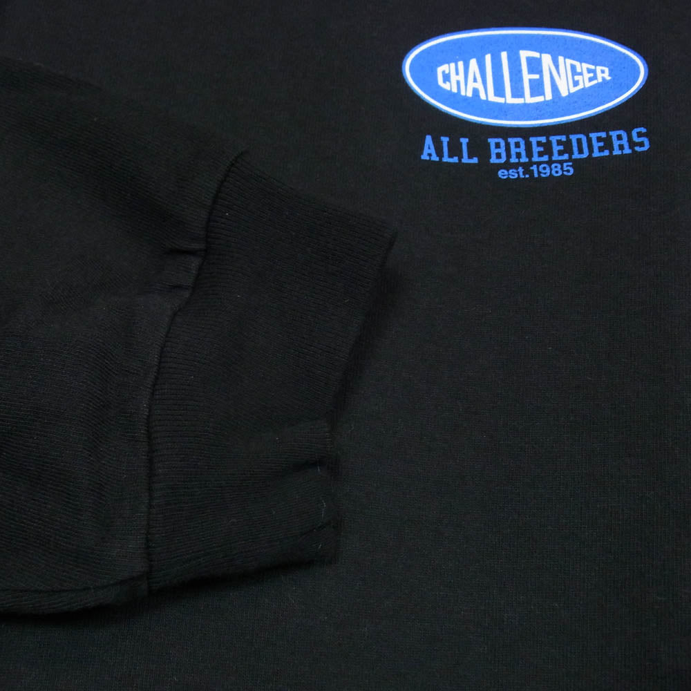 CHALLENGER チャレンジャー CLG-TS 025-030 L/S SUNSET DRIVE TEE サンセット ドライブ バック プリント ロングスリーブ 長袖Ｔシャツ ブラック系 XL【新古品】【未使用】【中古】